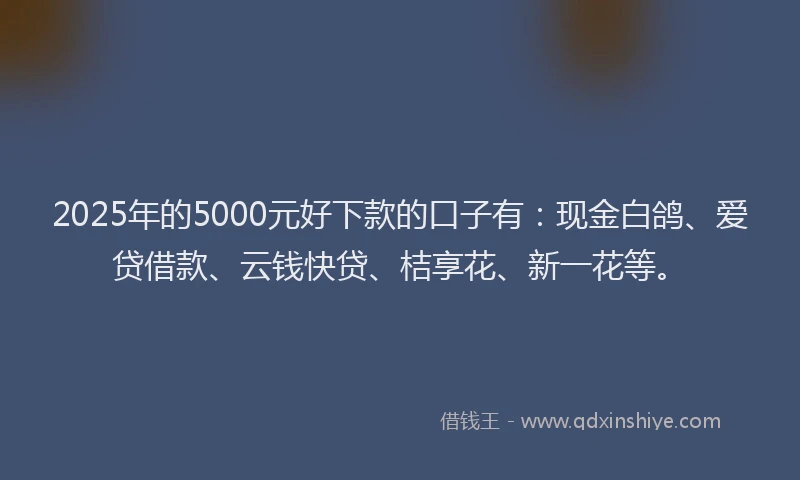 2025年的5000元好下款的口子有：现金白鸽、爱贷借款、云钱快贷、桔享花、新一花等。