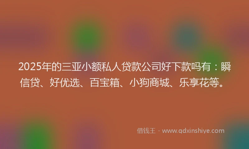 2025年的三亚小额私人贷款公司好下款吗有：瞬信贷、好优选、百宝箱、小狗商城、乐享花等。