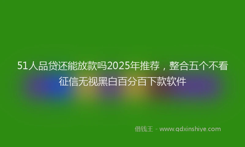 51人品贷还能放款吗2025年推荐，整合五个不看征信无视黑白百分百下款软件