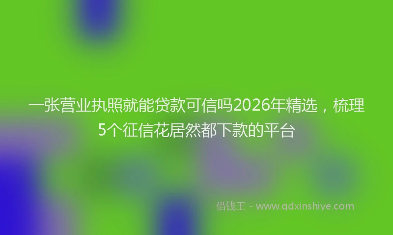 一张营业执照就能贷款可信吗2026年精选，梳理5个征信花居然都下款的平台