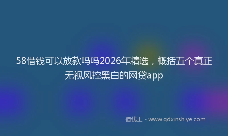 58借钱可以放款吗吗2026年精选，概括五个真正无视风控黑白的网贷app