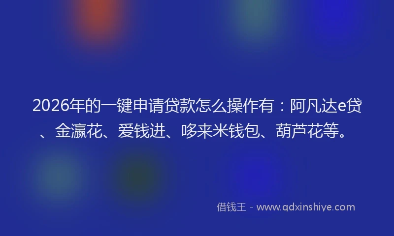 2026年的一键申请贷款怎么操作有：阿凡达e贷、金瀛花、爱钱进、哆来米钱包、葫芦花等。
