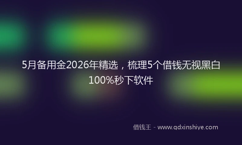 5月备用金2026年精选，梳理5个借钱无视黑白100%秒下软件
