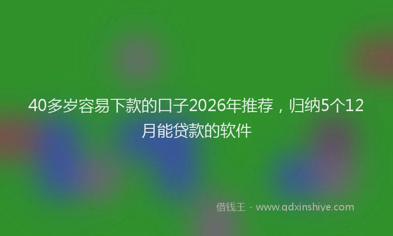 40多岁容易下款的口子2026年推荐，归纳5个12月能贷款的软件