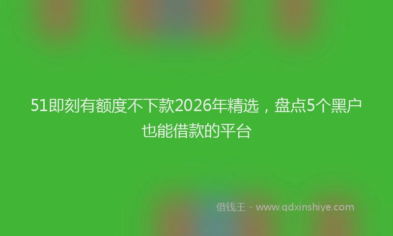 51即刻有额度不下款2026年精选，盘点5个黑户也能借款的平台