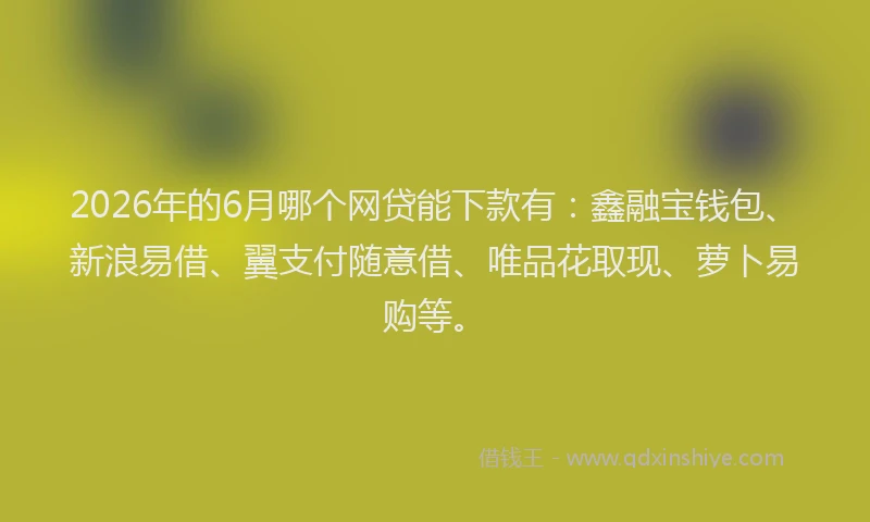 2026年的6月哪个网贷能下款有：鑫融宝钱包、新浪易借、翼支付随意借、唯品花取现、萝卜易购等。