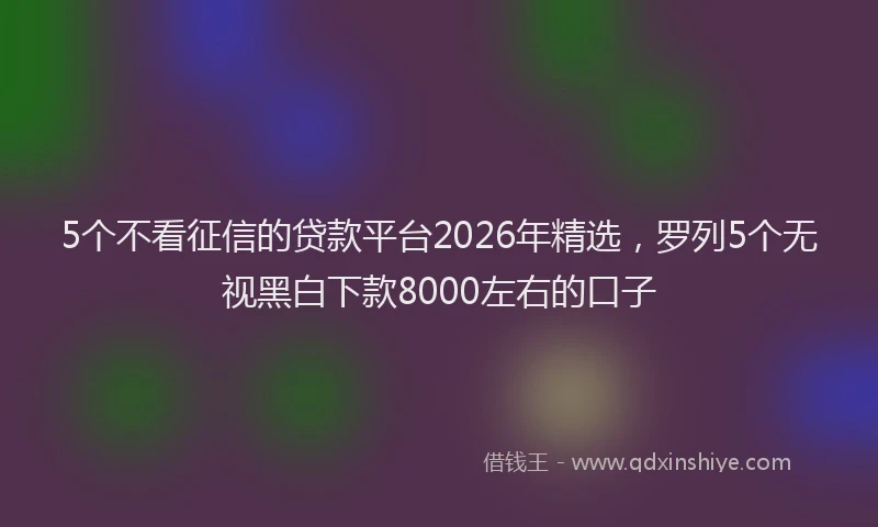 5个不看征信的贷款平台2026年精选，罗列5个无视黑白下款8000左右的口子
