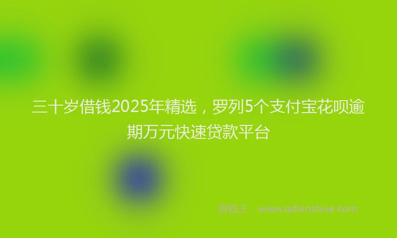 三十岁借钱2025年精选，罗列5个支付宝花呗逾期万元快速贷款平台