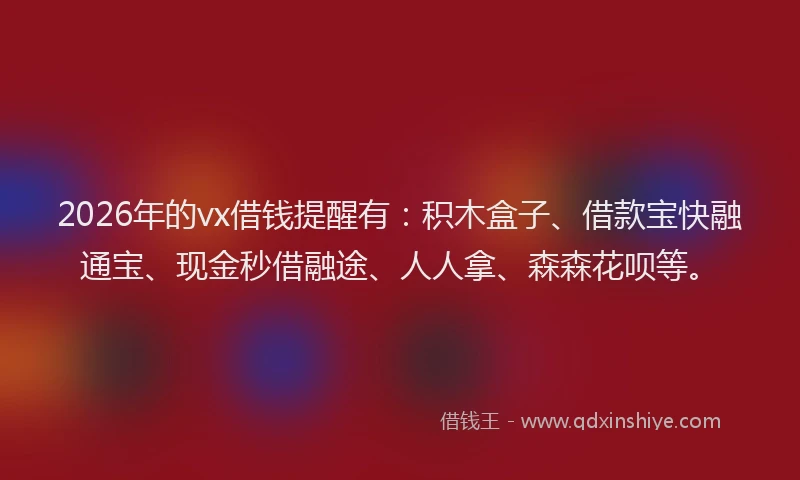 2026年的vx借钱提醒有：积木盒子、借款宝快融通宝、现金秒借融途、人人拿、森森花呗等。