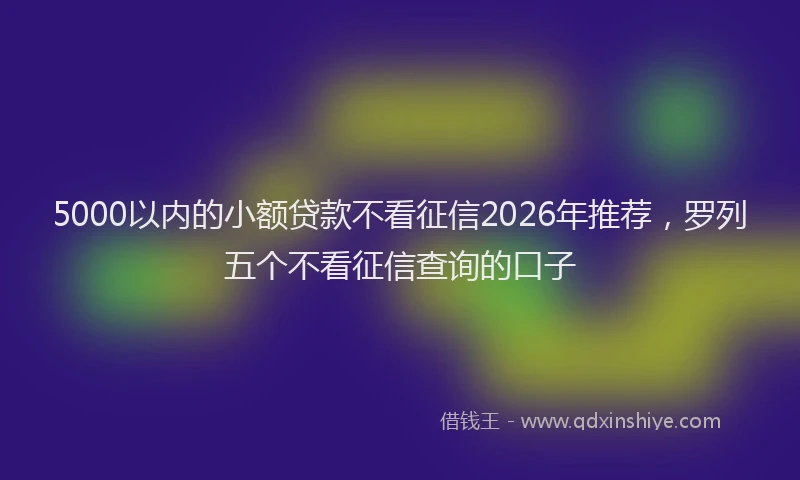 5000以内的小额贷款不看征信2026年推荐，罗列五个不看征信查询的口子
