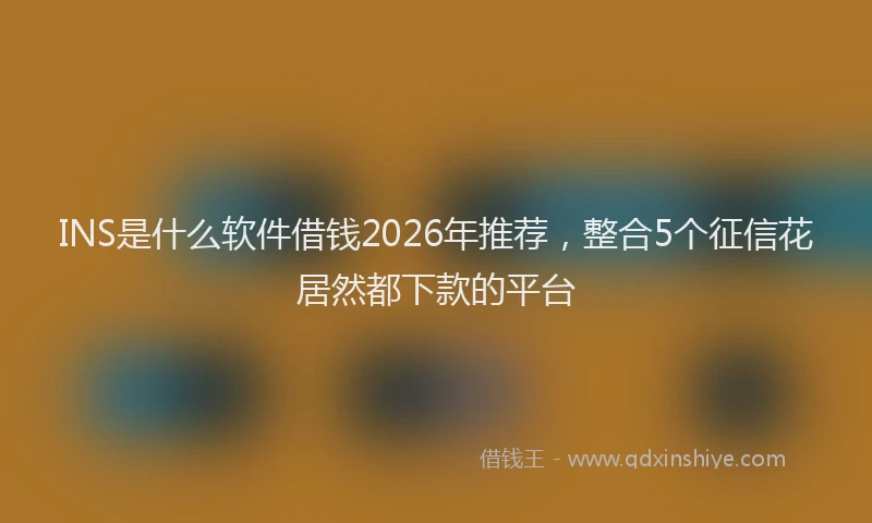 INS是什么软件借钱2026年推荐，整合5个征信花居然都下款的平台
