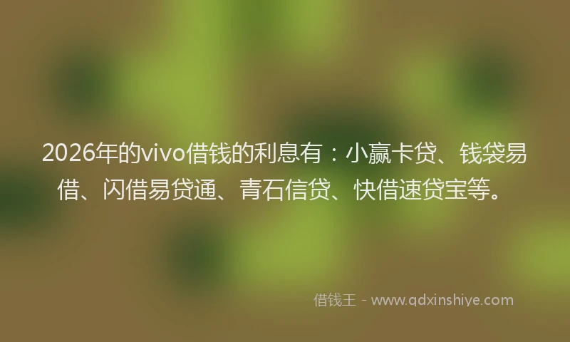 2026年的vivo借钱的利息有：小赢卡贷、钱袋易借、闪借易贷通、青石信贷、快借速贷宝等。