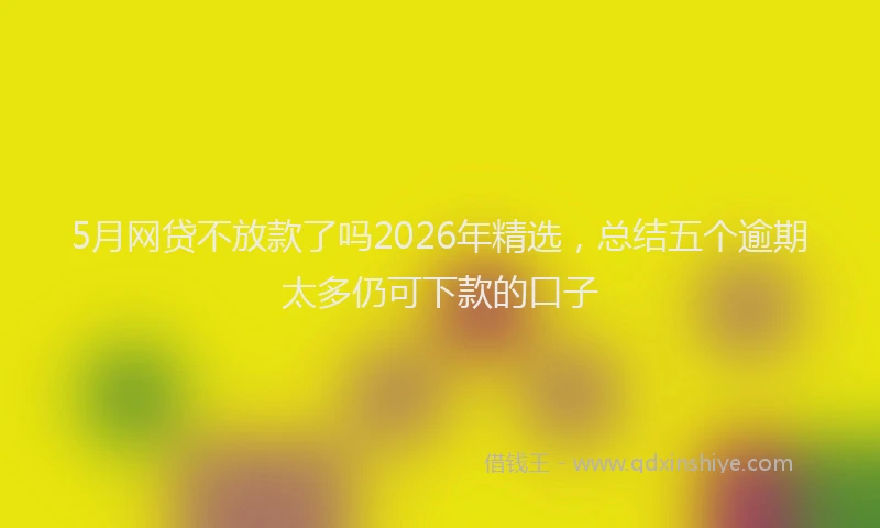 5月网贷不放款了吗2026年精选，总结五个逾期太多仍可下款的口子