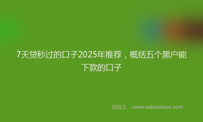 7天贷秒过的口子2025年推荐，概括五个黑户能下款的口子