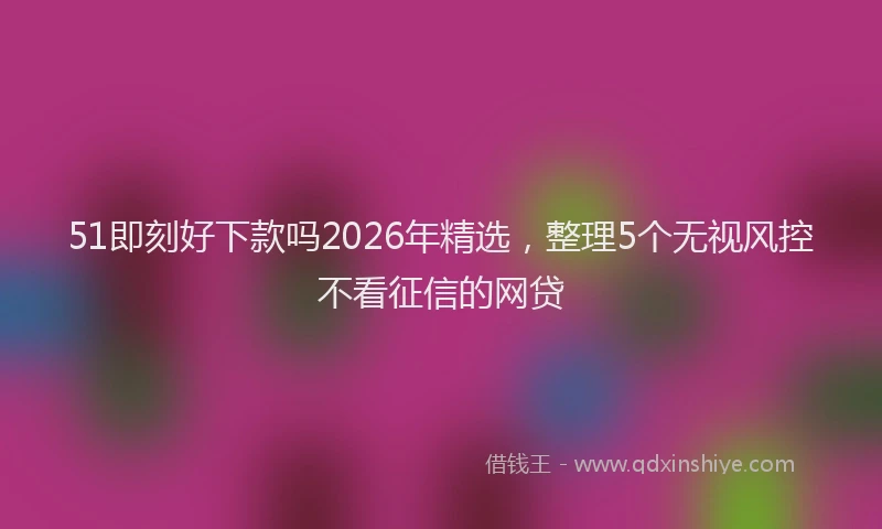 51即刻好下款吗2026年精选，整理5个无视风控不看征信的网贷