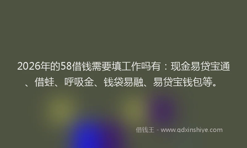 2026年的58借钱需要填工作吗有:现金易贷宝通、借蛙、呼吸金、钱袋易融、易贷宝钱包等。