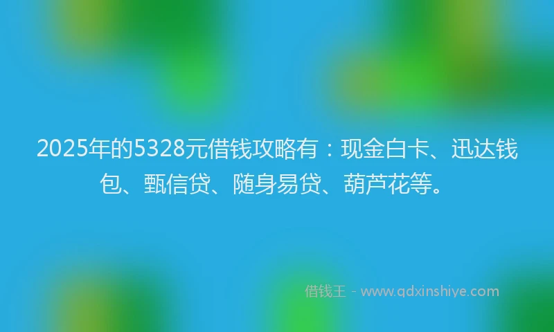 2025年的5328元借钱攻略有:现金白卡、迅达钱包、甄信贷、随身易贷、葫芦花等。