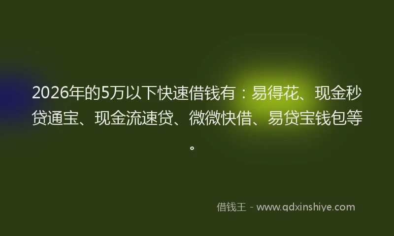 2026年的5万以下快速借钱有：易得花、现金秒贷通宝、现金流速贷、微微快借、易贷宝钱包等。