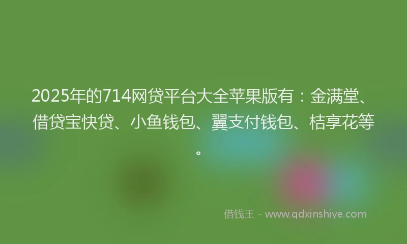 2025年的714网贷平台大全苹果版有：金满堂、借贷宝快贷、小鱼钱包、翼支付钱包、桔享花等。