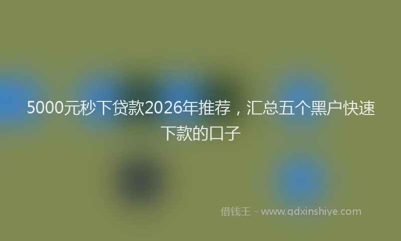 5000元秒下贷款2026年推荐，汇总五个黑户快速下款的口子