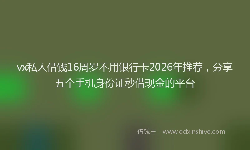vx私人借钱16周岁不用银行卡2026年推荐，分享五个手机身份证秒借现金的平台