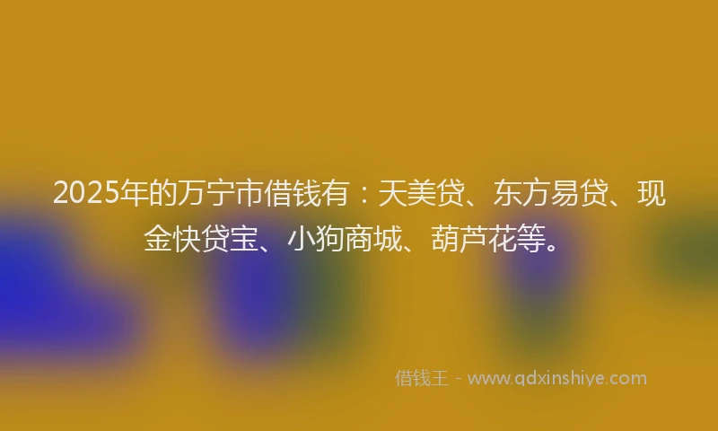 2025年的万宁市借钱有：天美贷、东方易贷、现金快贷宝、小狗商城、葫芦花等。