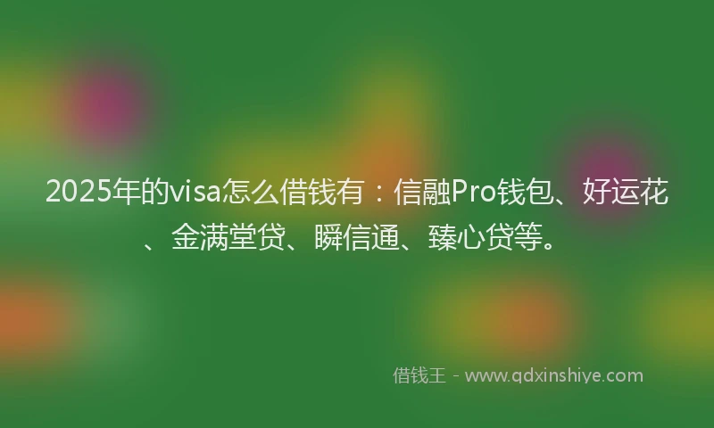 2025年的visa怎么借钱有：信融Pro钱包、好运花、金满堂贷、瞬信通、臻心贷等。