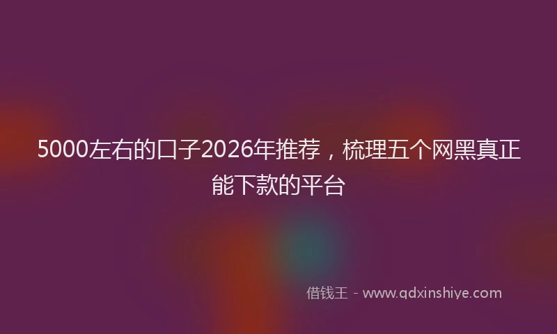 5000左右的口子2026年推荐，梳理五个网黑真正能下款的平台