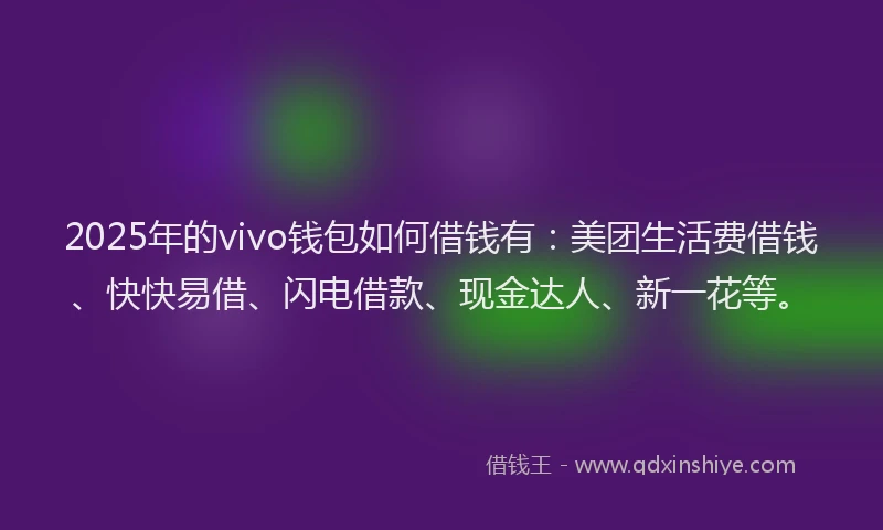 2025年的vivo钱包如何借钱有：美团生活费借钱、快快易借、闪电借款、现金达人、新一花等。
