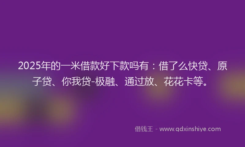 2025年的一米借款好下款吗有:借了么快贷、原子贷、你我贷-极融、通过放、花花卡等。