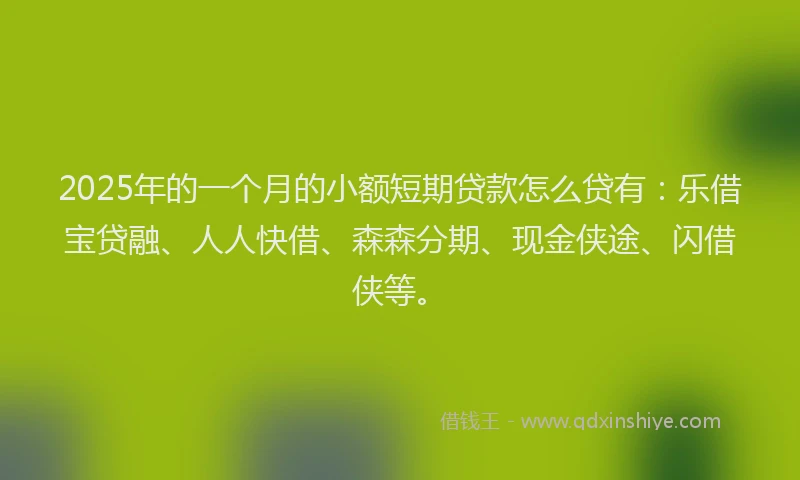 2025年的一个月的小额短期贷款怎么贷有：乐借宝贷融、人人快借、森森分期、现金侠途、闪借侠等。