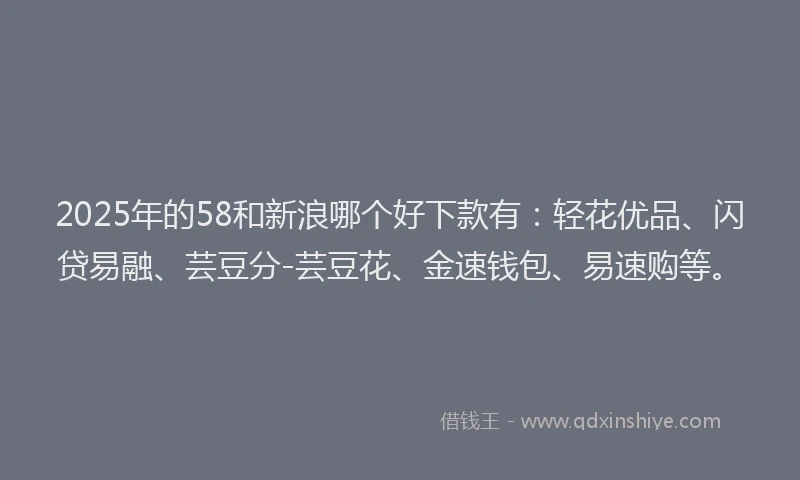 2025年的58和新浪哪个好下款有：轻花优品、闪贷易融、芸豆分-芸豆花、金速钱包、易速购等。