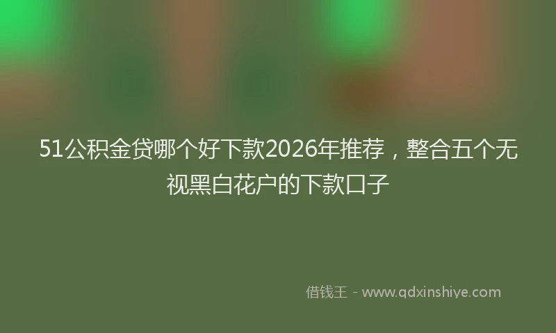 51公积金贷哪个好下款2026年推荐，整合五个无视黑白花户的下款口子