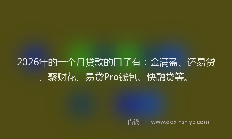 2026年的一个月贷款的口子有：金满盈、还易贷、聚财花、易贷Pro钱包、快融贷等。