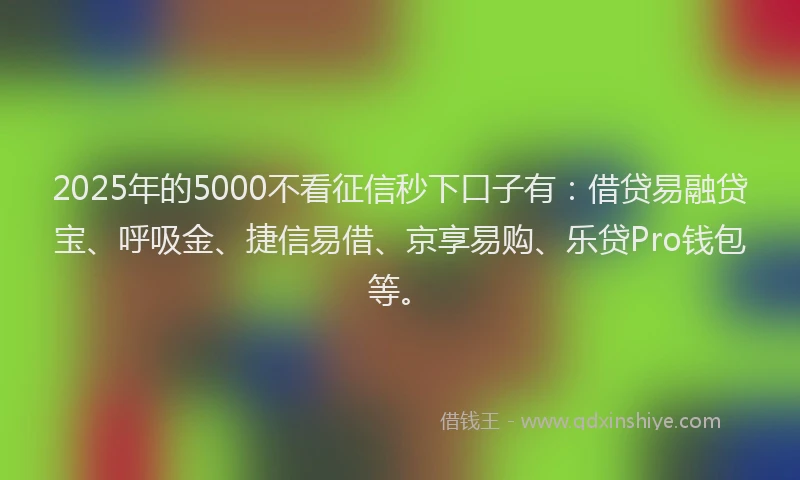2025年的5000不看征信秒下口子有：借贷易融贷宝、呼吸金、捷信易借、京享易购、乐贷Pro钱包等。