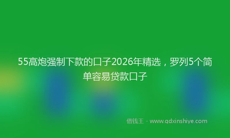 55高炮强制下款的口子2026年精选，罗列5个简单容易贷款口子