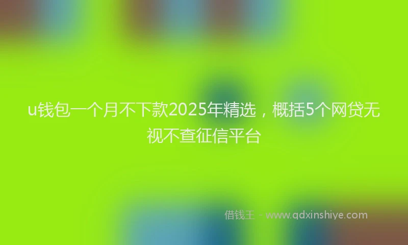 u钱包一个月不下款2025年精选，概括5个网贷无视不查征信平台