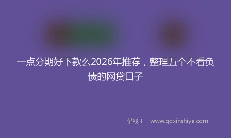 一点分期好下款么2026年推荐，整理五个不看负债的网贷口子