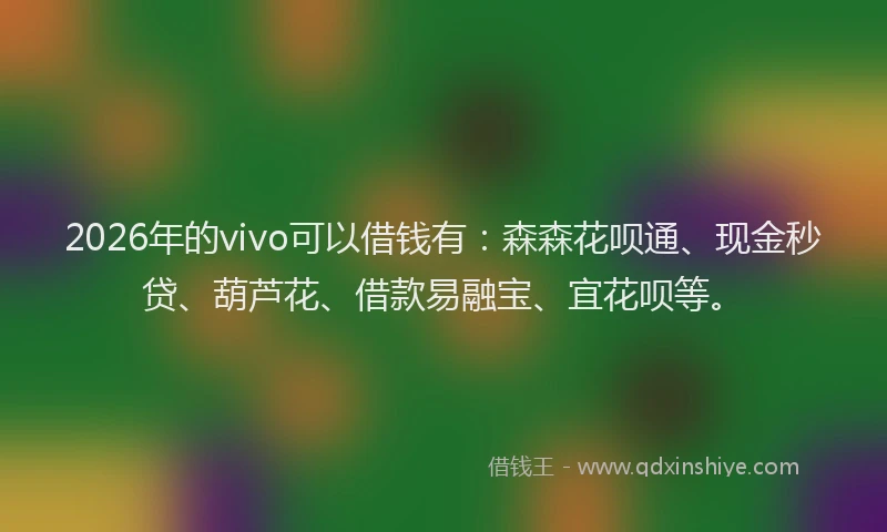 2026年的vivo可以借钱有：森森花呗通、现金秒贷、葫芦花、借款易融宝、宜花呗等。