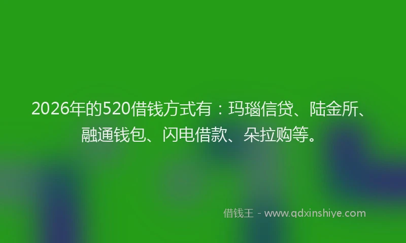 2026年的520借钱方式有:玛瑙信贷、陆金所、融通钱包、闪电借款、朵拉购等。