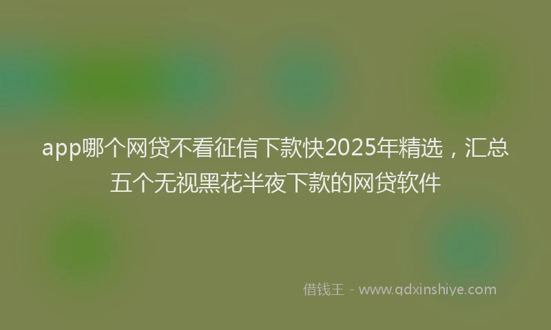 app哪个网贷不看征信下款快2025年精选，汇总五个无视黑花半夜下款的网贷软件