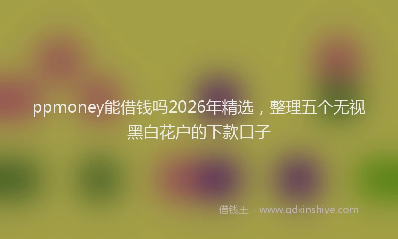 ppmoney能借钱吗2026年精选，整理五个无视黑白花户的下款口子