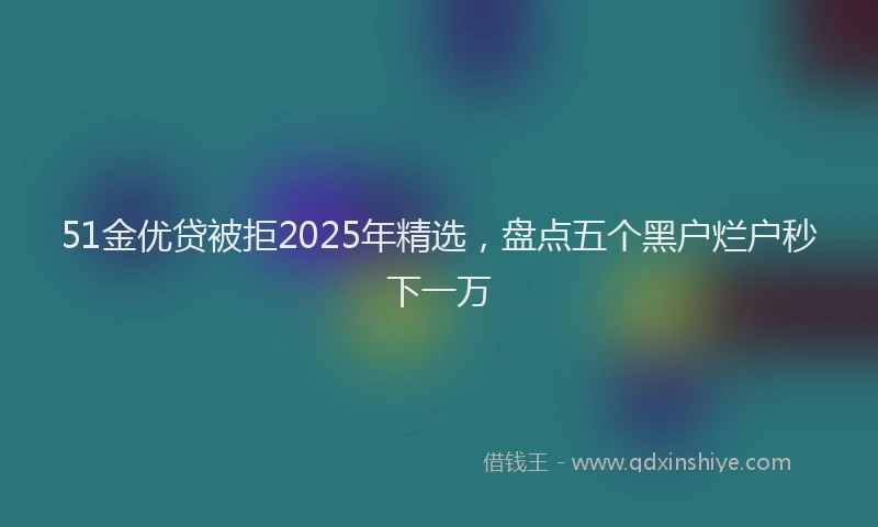 51金优贷被拒2025年精选，盘点五个黑户烂户秒下一万