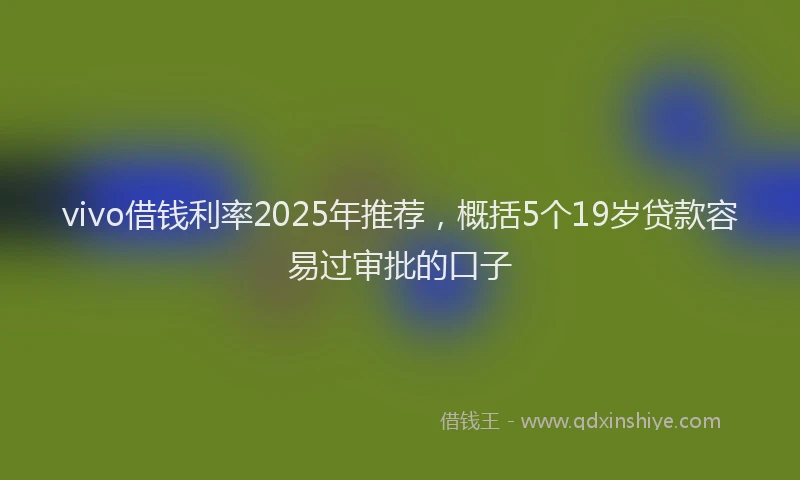 vivo借钱利率2025年推荐,概括5个19岁贷款容易过审批的口子