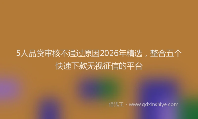 5人品贷审核不通过原因2026年精选，整合五个快速下款无视征信的平台