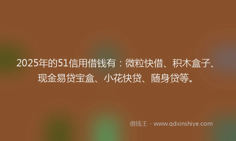 2025年的51信用借钱有：微粒快借、积木盒子、现金易贷宝盒、小花快贷、随身贷等。