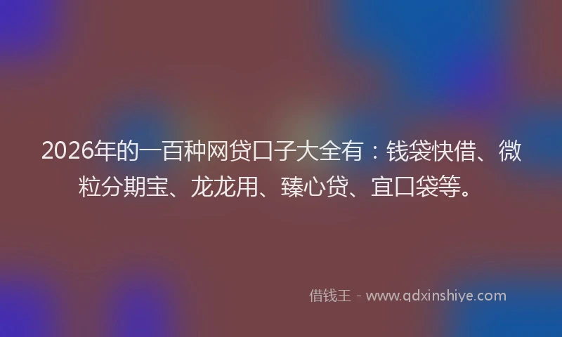 2026年的一百种网贷口子大全有:钱袋快借、微粒分期宝、龙龙用、臻心贷、宜口袋等。