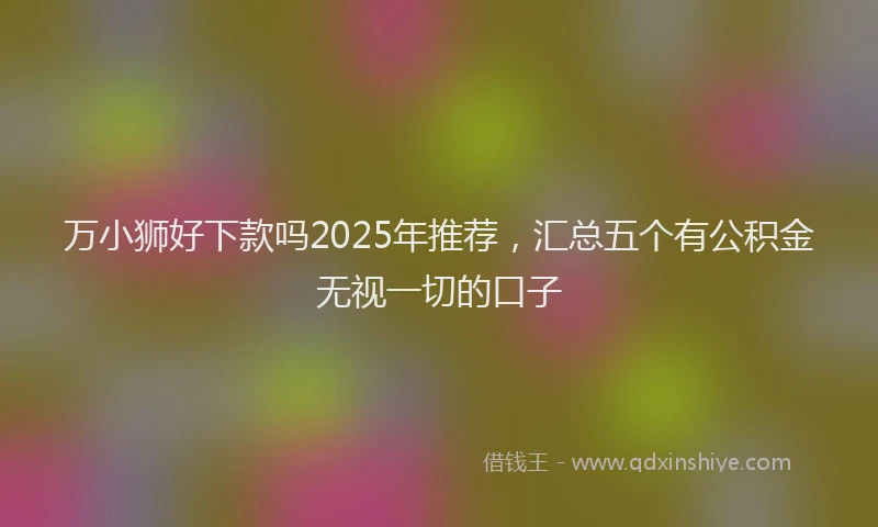 万小狮好下款吗2025年推荐，汇总五个有公积金无视一切的口子