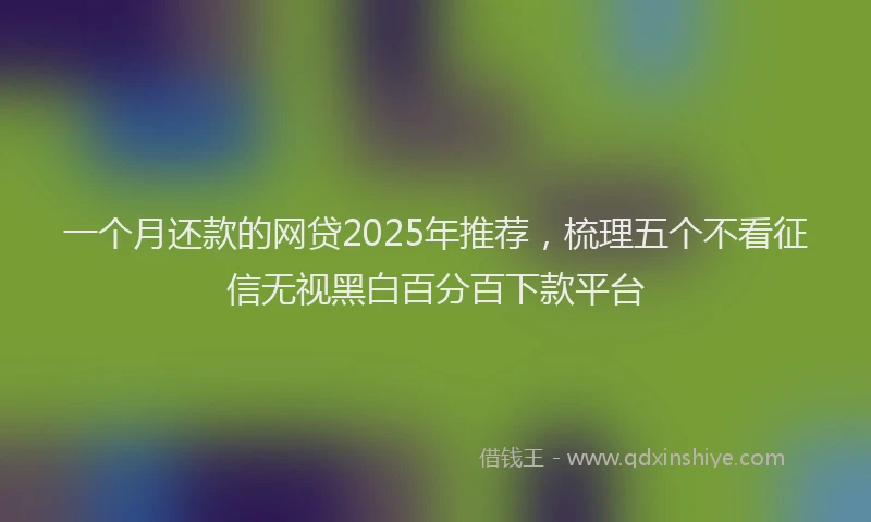 一个月还款的网贷2025年推荐,梳理五个不看征信无视黑白百分百下款平台