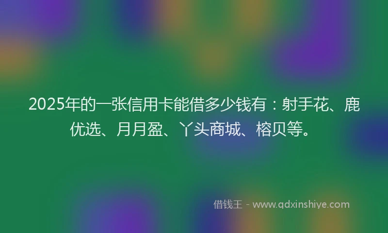 2025年的一张信用卡能借多少钱有：射手花、鹿优选、月月盈、丫头商城、榕贝等。